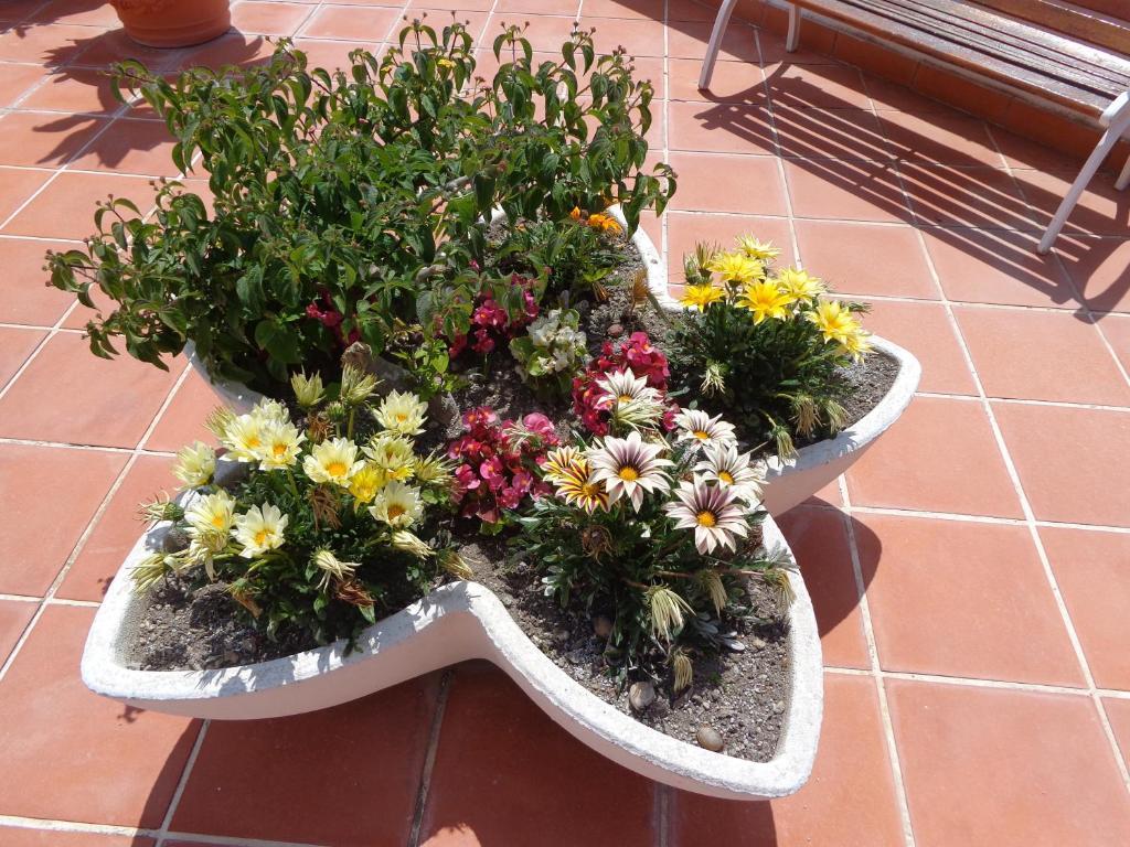 Villa Flavia - Adults Only Ponza Buitenkant foto